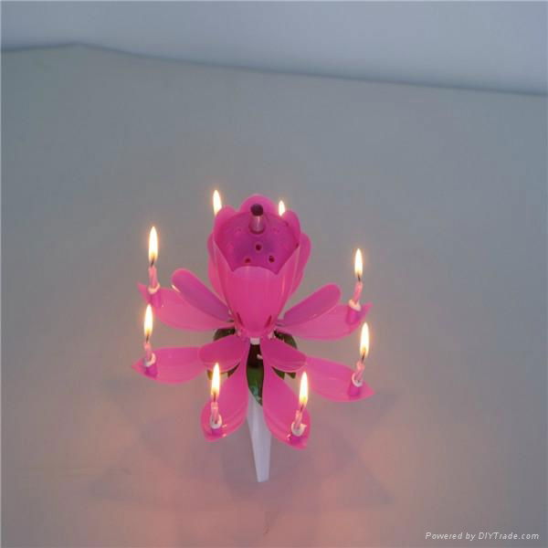 flower opening birthday greetings candle