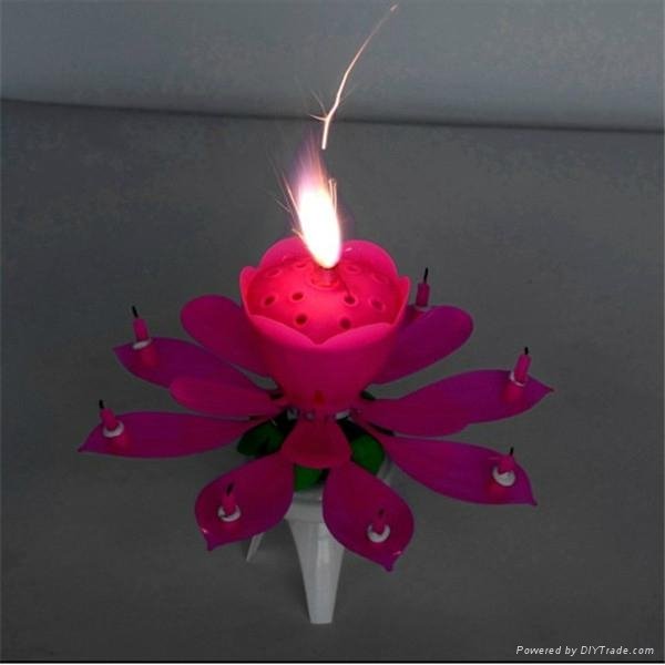 flower opening birthday greetings candle 2