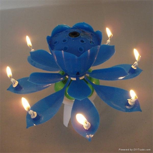 flower opening birthday greetings candle 4