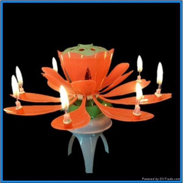party birthday candles wholesales 5