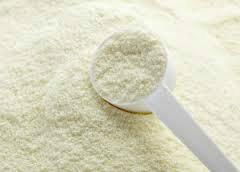 whole milk powder 