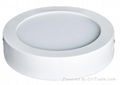 12Watt LED round emergency downlamp 1