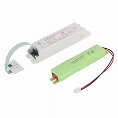 20W down lamp emergency module