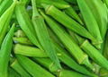  100% natural powdered okra seed extract 