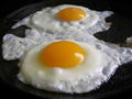  Quality Organic Fresh Chicken Table Eggs  1