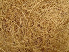 Coir Fibre