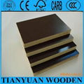 18*1220*2440mm film faced plywood 2