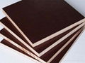 1220*2440mm marine plywood for construction 4