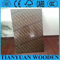 1220*2440mm marine plywood for