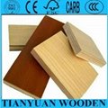 Melamine plywood for kitchen furniture