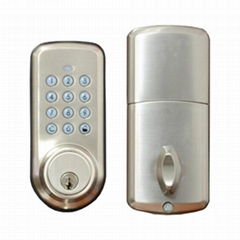 Electronic Door Locks