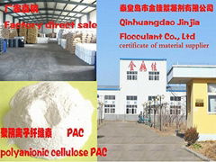 polyanionic cellulose PAC