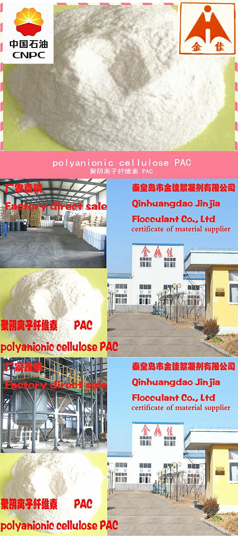 polyanionic cellulose PAC  2