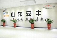 Shandong Anniu Group
