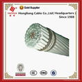 Aluminum steel conductor reinforced ACSR cable 3