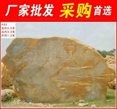 廣東龍川大型黃臘石