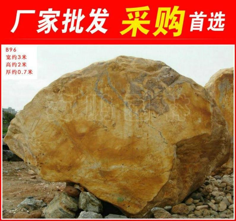 廣東陽春大型黃臘石