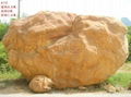 廣東龍川大型黃臘石 4