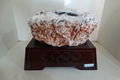 bird`s nest agate stone 1