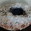 bird`s nest agate stone 3