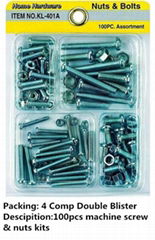 High quality Screws in double blister card