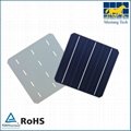 4.2watt 156x156mm Poly Solar Cell made in Taiwan