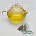 Slimming Detox Herbal Pyramid Teabag- Yerba Mate 1