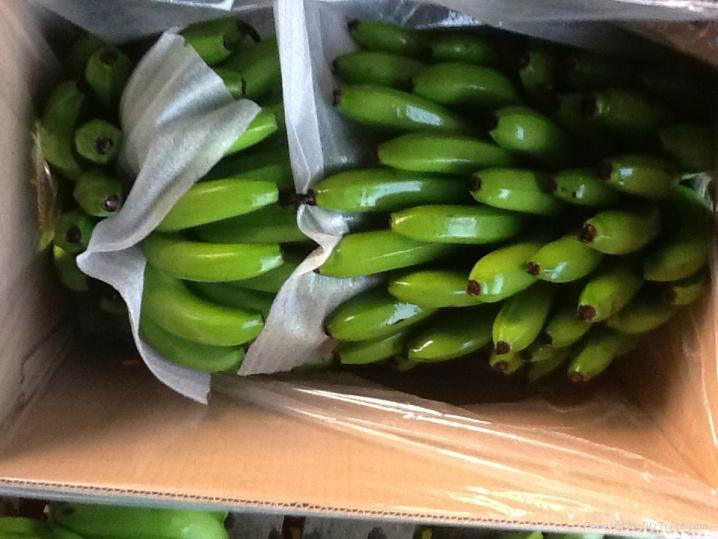 FRESH SWEET BANANA WITH BEST PRICE AND HIGH QUALITY 4