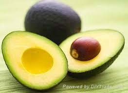 FRESH AVOCADO WITH BEST PRICE AND HIGH QUALITY 3