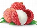 FRESH SWEET LYCHEE WITH BEST PRICE AND HIGH QUALITY 3