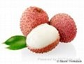 FRESH SWEET LYCHEE WITH BEST PRICE AND HIGH QUALITY 2