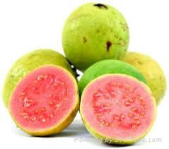 FRESH SWEET GUAVA WITH BEST PRICE FROM VIETNAM 3