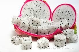 FRESH DRAGON FRUIT WITH BEST PRICE AND SWEET TASTE