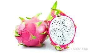 FRESH DRAGON FRUIT WITH BEST PRICE AND SWEET TASTE 2
