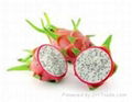 FRESH DRAGON FRUIT WITH BEST PRICE AND SWEET TASTE 3