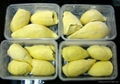 DURIAN WITH BEST PRICE AND SWEET TASTE  3