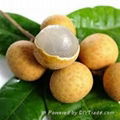 FRESH SWEET LONGAN FRUIT WITH BEST PRICE