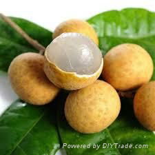 FRESH SWEET LONGAN FRUIT WITH BEST PRICE