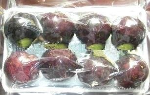 FRESH MANGOSTEEN WITH BEST PRICE AND HIGH QUALITY 2
