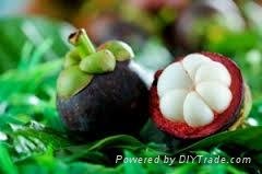 FRESH MANGOSTEEN WITH BEST PRICE AND HIGH QUALITY 4