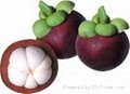 FRESH MANGOSTEEN WITH BEST PRICE AND HIGH QUALITY 3