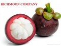 FRESH MANGOSTEEN WITH BEST PRICE AND HIGH QUALITY 5