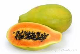 FRESH PAPAYA WITH BEST PRICE AND HIGH QUALITY 3