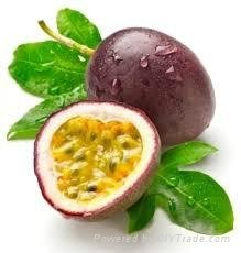 FRESH PASSION FRUIT WITH BEST PRICE AND HIG QUALITY