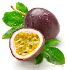 FRESH PASSION FRUIT WITH BEST PRICE AND