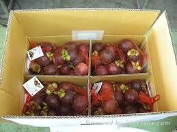 FRESH PASSION FRUIT WITH BEST PRICE AND HIG QUALITY 2