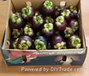 FRESH PASSION FRUIT WITH BEST PRICE AND HIG QUALITY 5