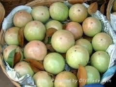 FRESH STAR APPLE WITH BEST PRICE AND HIGH QUALITY