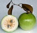 FRESH STAR APPLE WITH BEST PRICE AND HIGH QUALITY 2