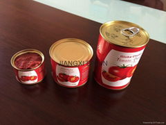 canned tomato paste to Nigeria